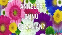 2018 Anneler Günü Kaç Gün Kaldı? Anneler Günü Ne Zaman?