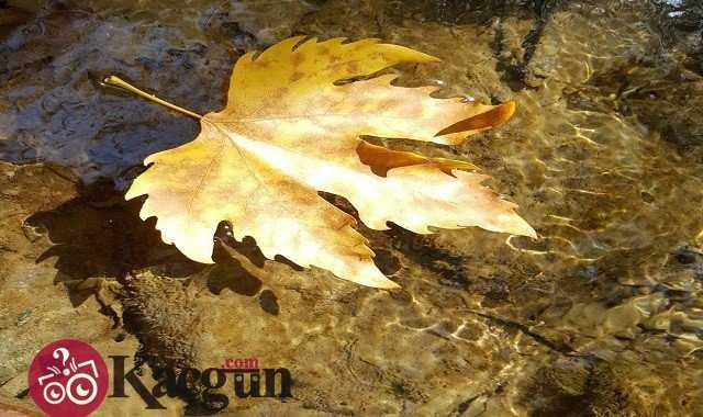 Eylül Ayı Kaç Gün Çeker?