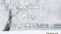 Aralık Ayı Kaç Gün Çeker?
