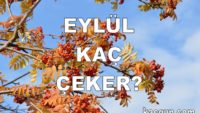 Eylül Ayı Kaç Gün Çeker?