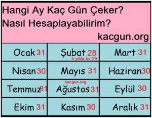 aylar kaç çeker