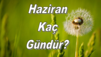 Haziran Ayı Kaç Gün Çeker?