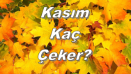Kasım Ayı Kaç Gün Çeker?