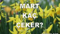 Mart Ayı Kaç Gün Çeker?