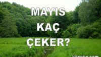 Mayıs Ayı Kaç Gün Çeker?