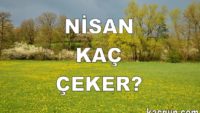 Nisan Ayı Kaç Gün Çeker?