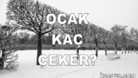 Ocak Ayı Kaç Gün Çeker?