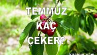 Temmuz Ayı Kaç Gün Çeker?