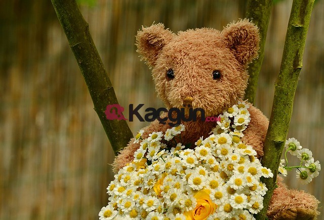 anneler gunu mektubu , anneler günü zarf