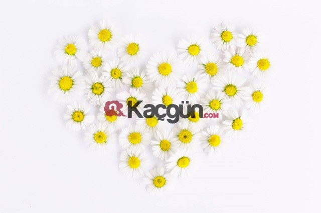 anneler günü hediyeleri