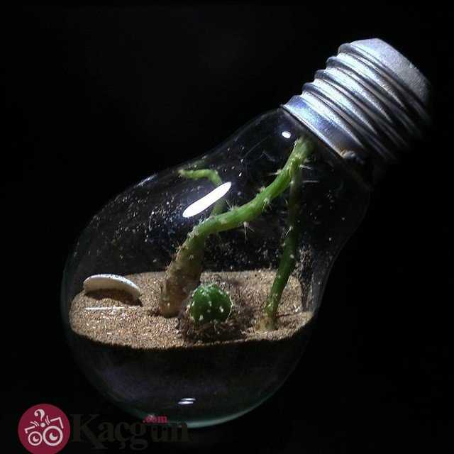 Ampul İcat Edileli Kaç Gün Oldu? Kaç Yıl Oldu?