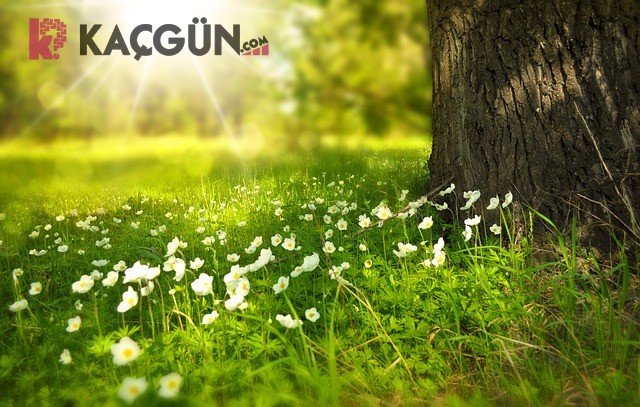 havalar ne zaman ısınacak?