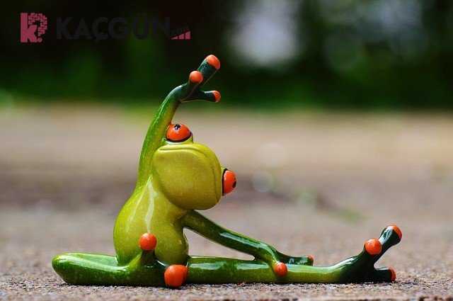 haftada kaç gün fitness yapılmalı?