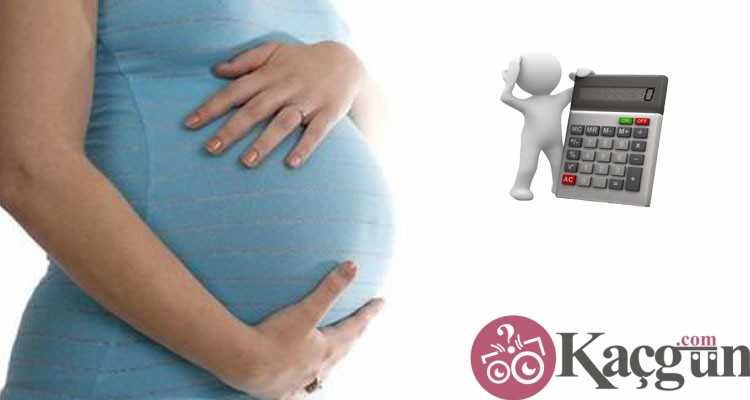 kaç aylık hamileyim