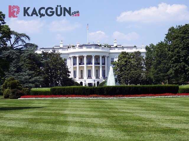 Amerika Vizesi Kaç Günde Çıkar?