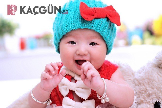 Bebekler Katı Gıdaya Ne Zaman Başlamalı?