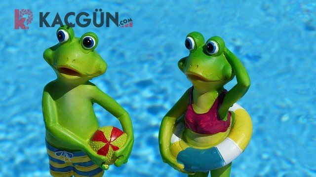 ramazan bayramı tatili kaç gün ?