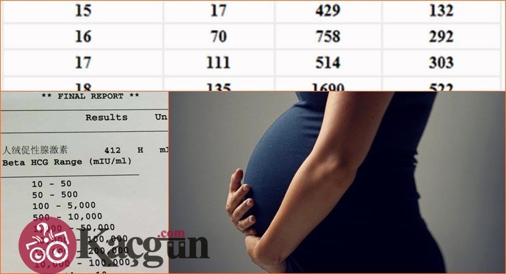 BHCG Ne Zaman Yükselir?