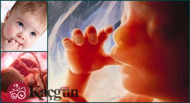 Ruh Ne Zaman Üflenir?