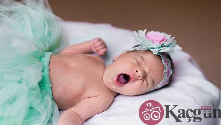 Türk Takvimine Göre Bebek Cinsiyeti Öğrenme