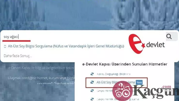 E-Devlet Soy Ağacı Sorgulama