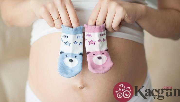 Rus Takvimi Cinsiyet Hesaplama