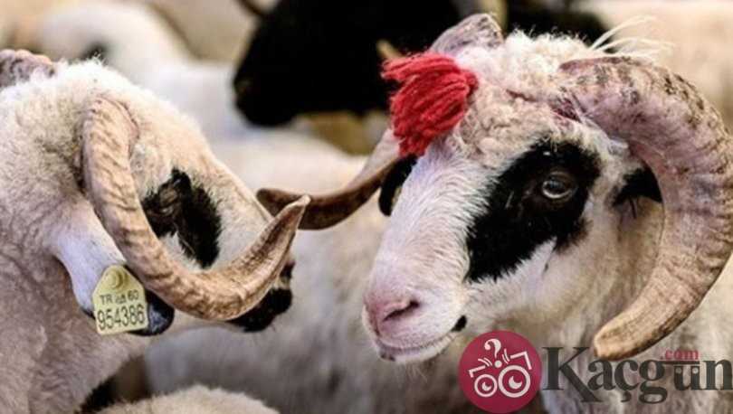 kurban bayramına kaç gün kaldı