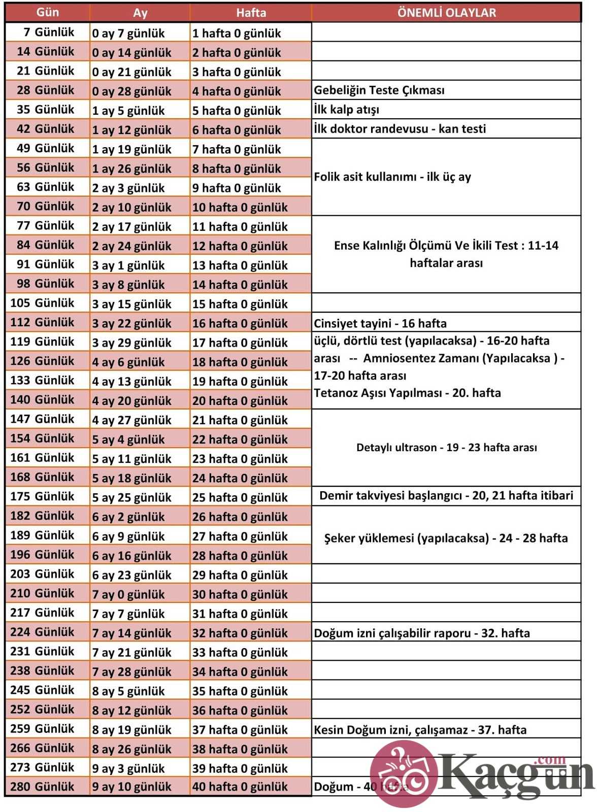 Gebelik Hesaplama Cetveli